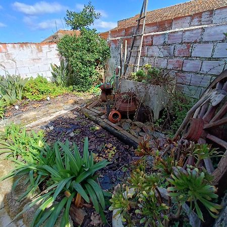 Casa Da Avo Do Puto Villa Mealhada Eksteriør bilde