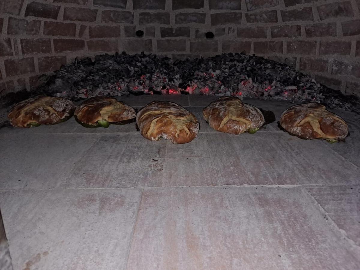 Casa Da Avo Do Puto Villa Mealhada Eksteriør bilde