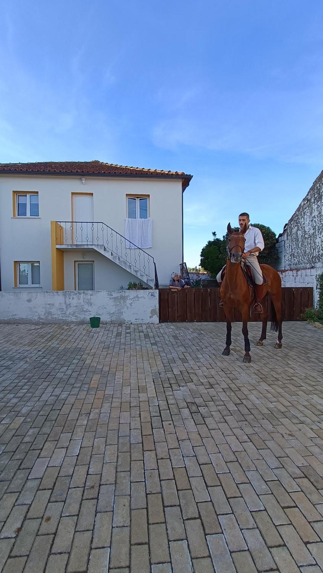 Casa Da Avo Do Puto Villa Mealhada Eksteriør bilde